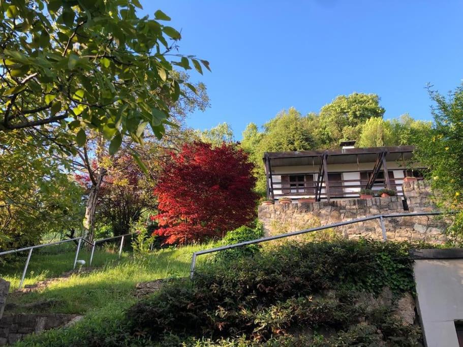 L'Antico Noce - Bergamo - B&B