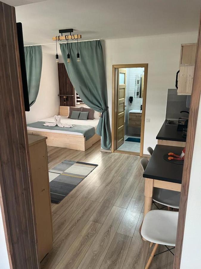 Deluxe Double or Twin Room with Mountain View