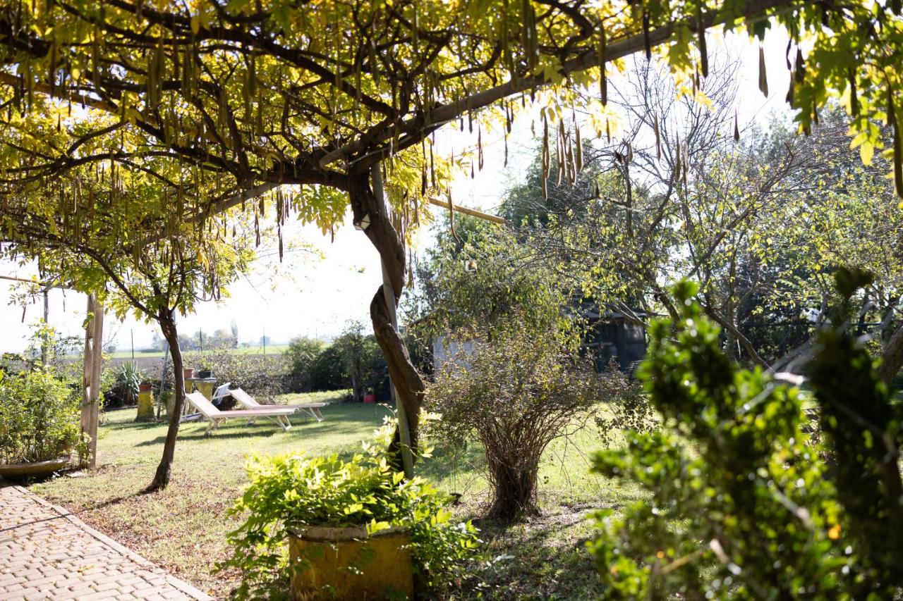 Locanda Acetaia Malagoli Daniele - Bed and Breakfast