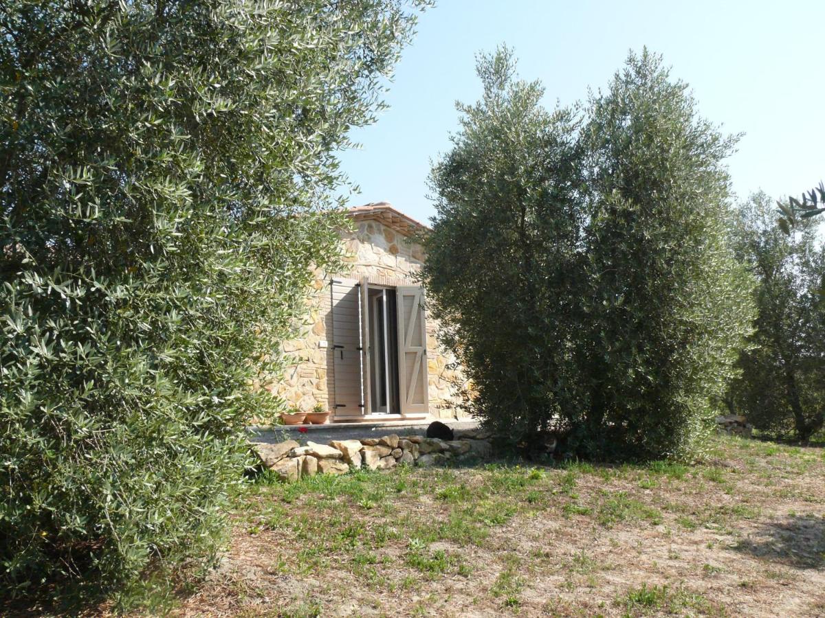 Agriturismo Da Lorena - B&B Marsiliana