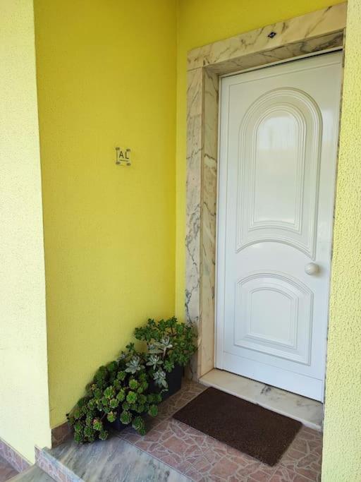 Zambujal Sun - Ferienwohnung