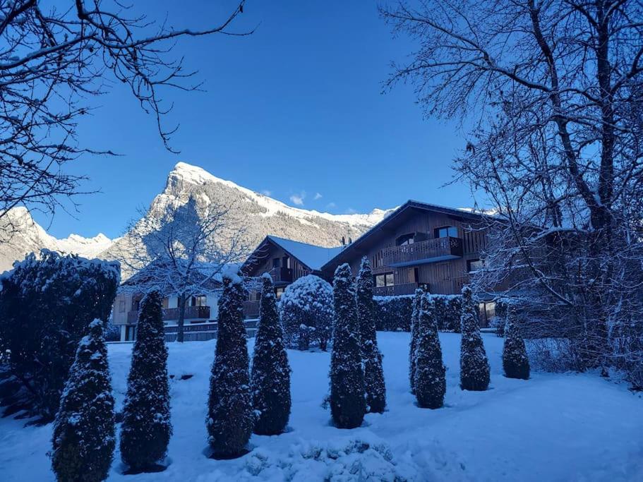 A1/2, 3 bedroom apartment next to the ski lift - Chambres d’hôtes Samoëns