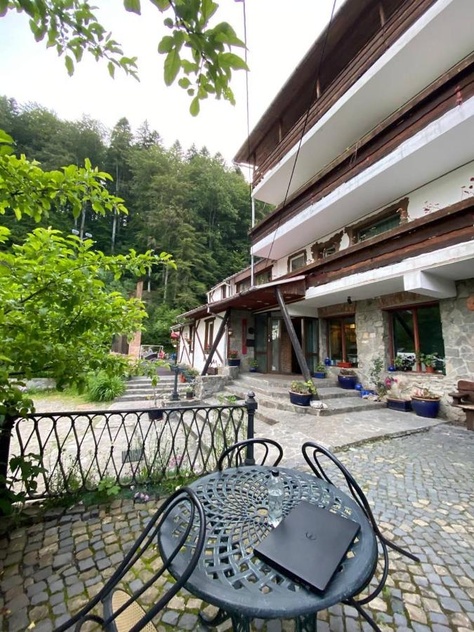 Predeal Club - B&B Predeal