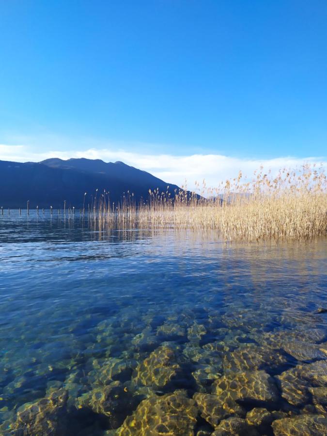 Charmant Appartement T2 Parking & Terrasse - Crêt de la Roche - B&B Aix-les-Bains