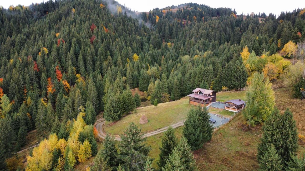 Cabana din Munți - Chambres d’hôtes