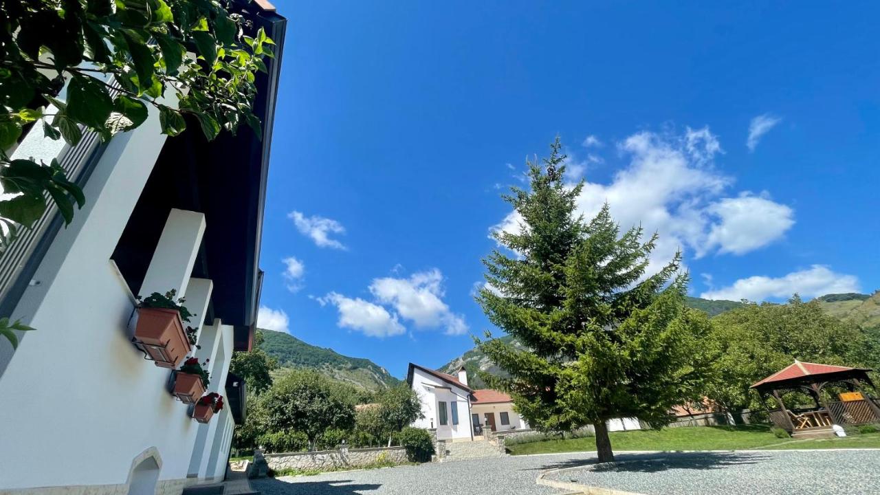 Casa Izvoarele - Bed and Breakfast