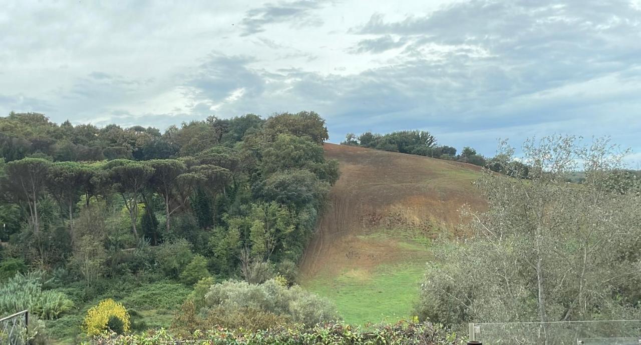 Appartamento nel verde fronte ospedale San Pietro, Sant'Andrea - B&B Rome