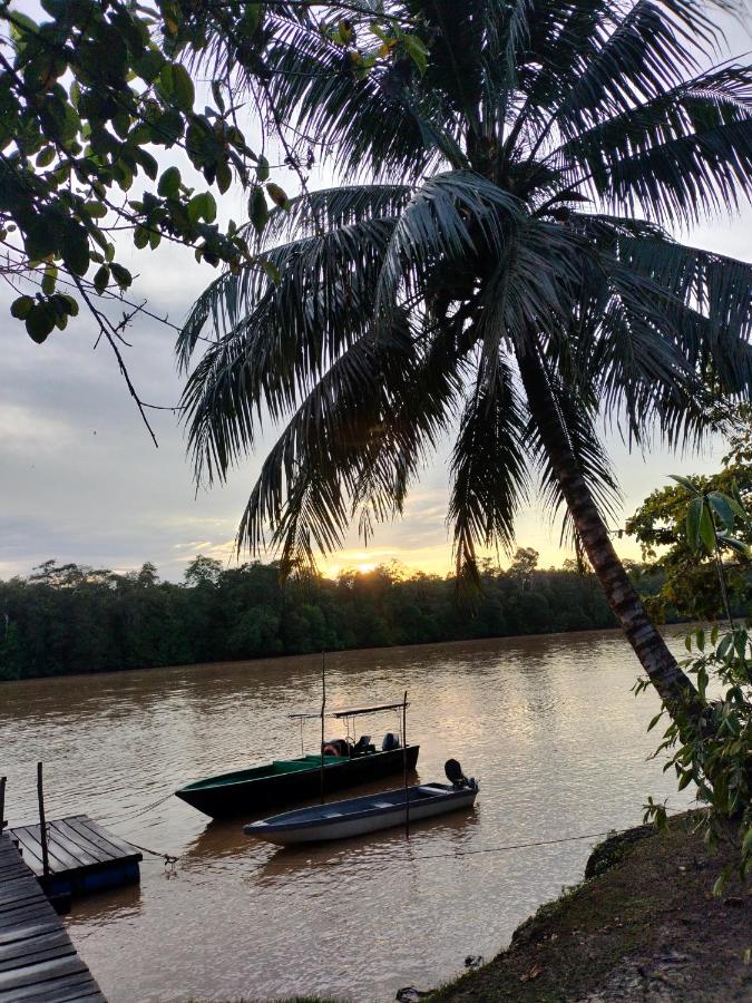 Osman homestay - B&B