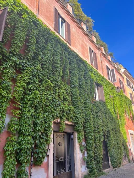 Scarpetta32 - Your home in Trastevere - B&B Rome