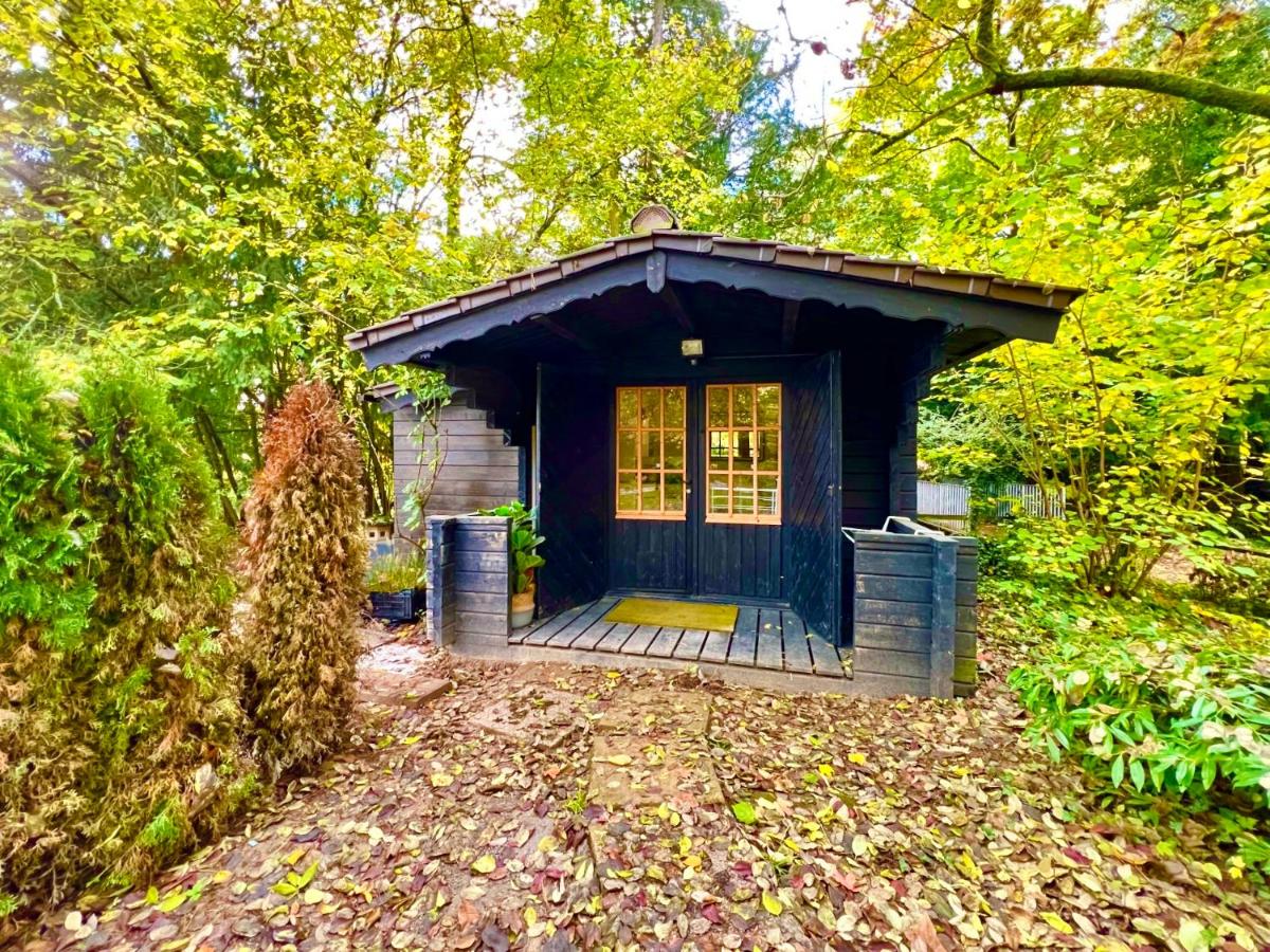 B&B Schlangenbad - Tiny Haus Glamping - Natur Park - Bed and Breakfast Schlangenbad