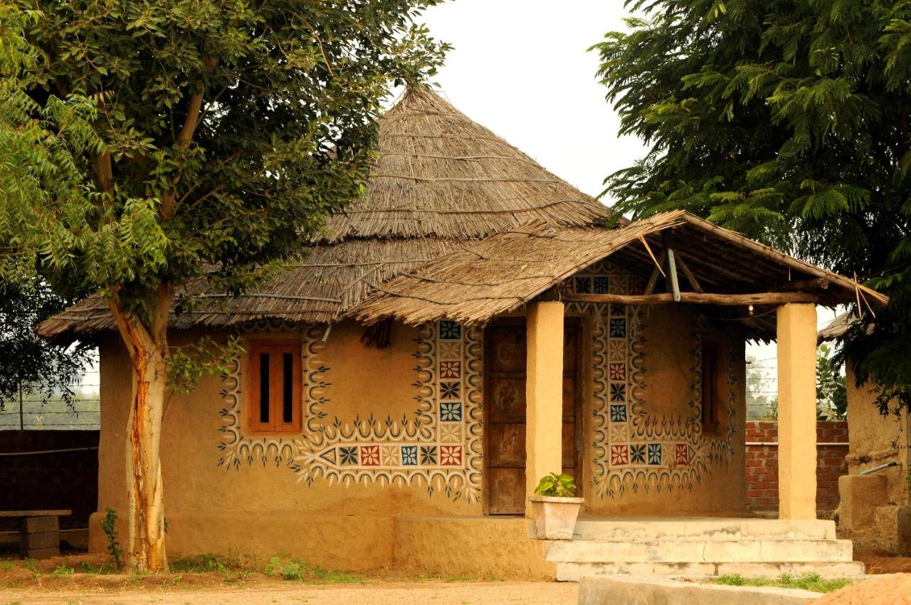 Eco Tour Camp - B&B Tikar