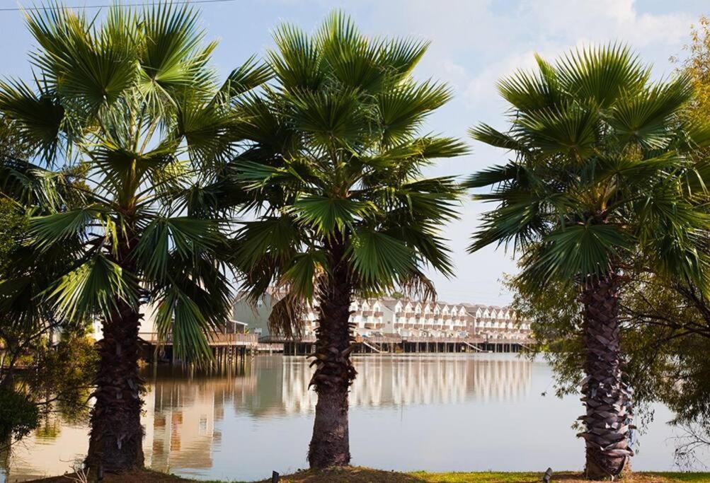 Scenic Carolina Waterfront Rentals - Arco - Ferienwohnung