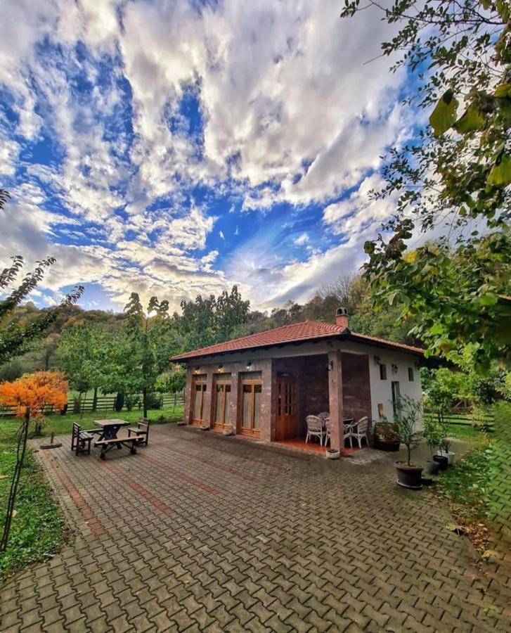 Apartman Quince Gradac - B&B