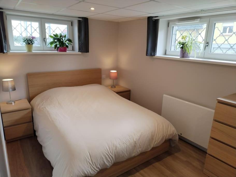 Appartement 1 Chambre