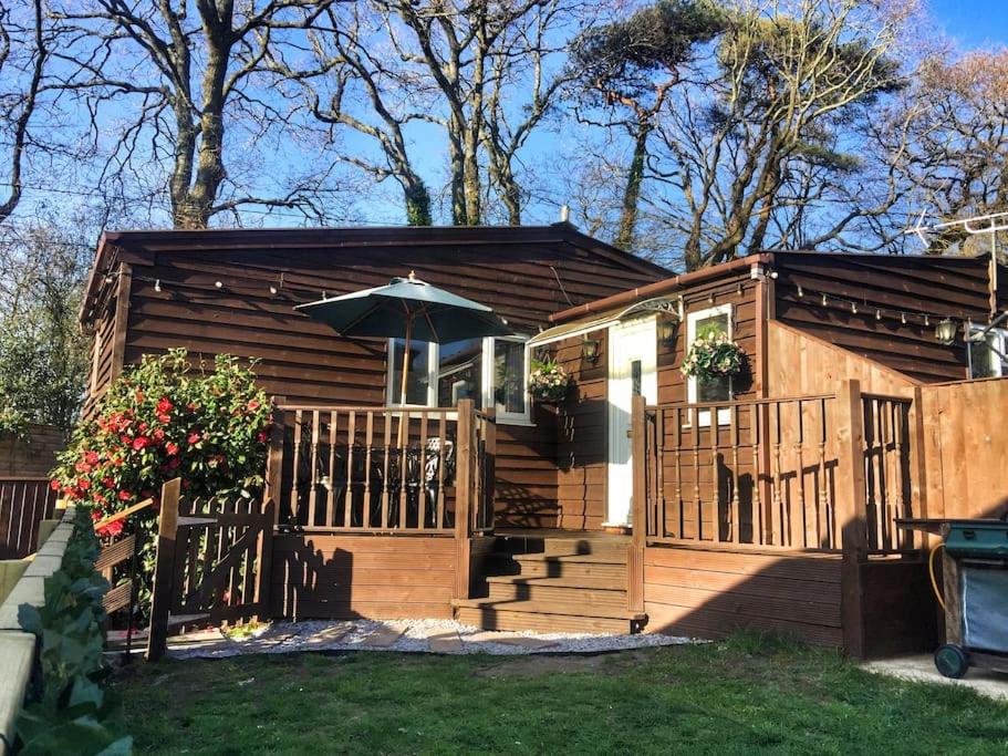 B&B Southampton - The Chalet In The New Forest - 5 km from Peppa Pig! - Bed and Breakfast Southampton