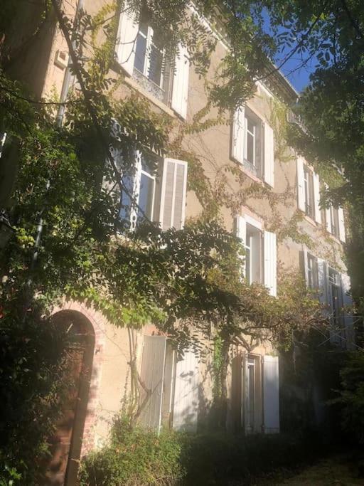 Maison de 1820 dans un écrin de verdure de 2 ha - Chambres d’hôtes Entrechaux