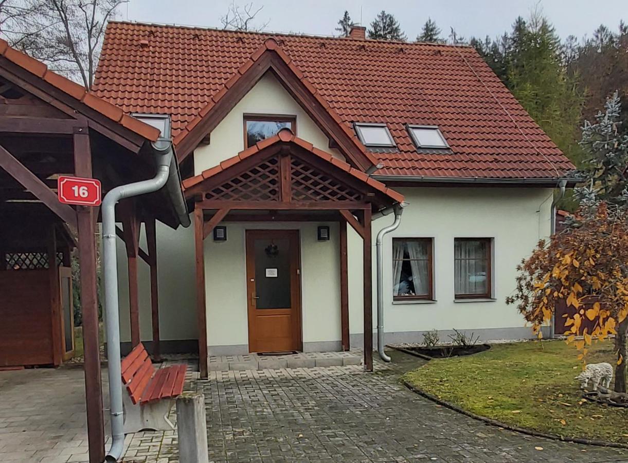 B&B Karlovy Vary - Villa Gejzir 16 - Bed and Breakfast Karlovy Vary