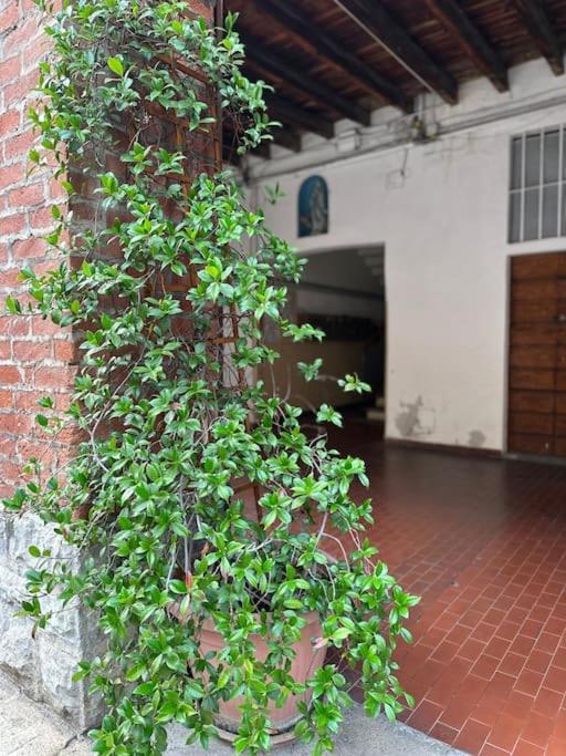 Casa Rovani - Bed and Breakfast Sesto San Giovanni