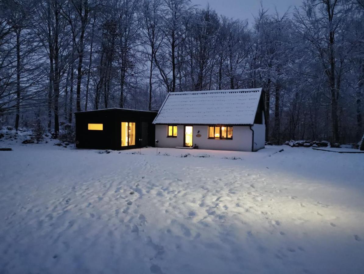 Bokis - Modern Forest Cottage - B&B Brösarp