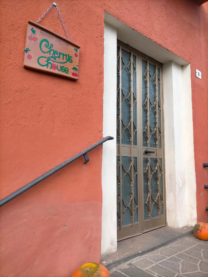 Cherry's house - Ferienwohnung