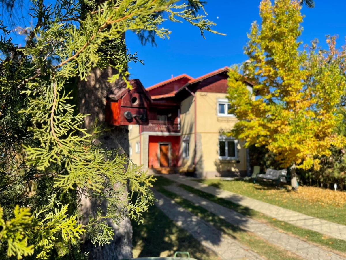 Casa Edan Breaza - B&B Breaza