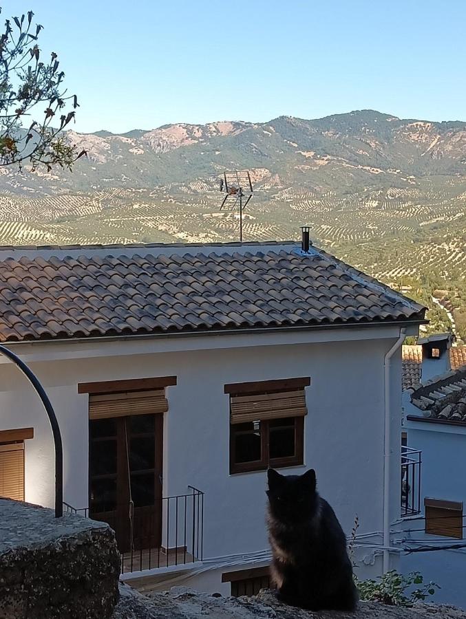 Vivienda Rural El Peñón de Los Primillas - B&B