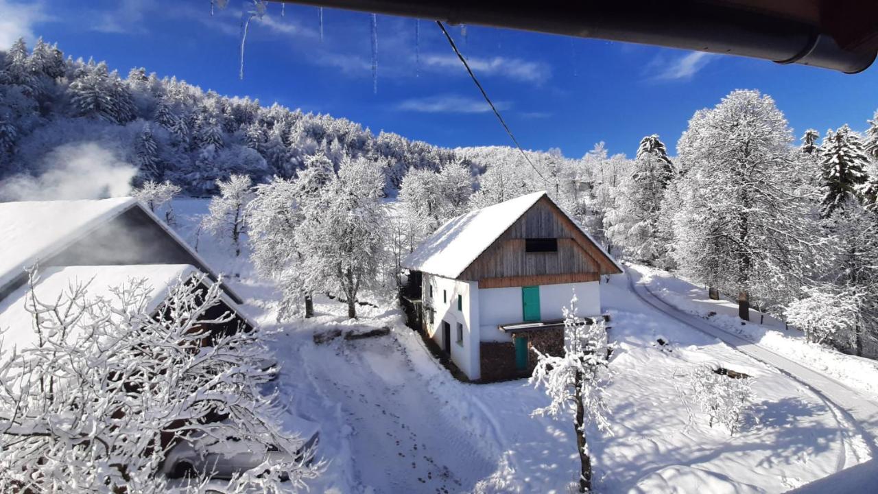 Healing Farm - Bed and Breakfast Gorenja Vas