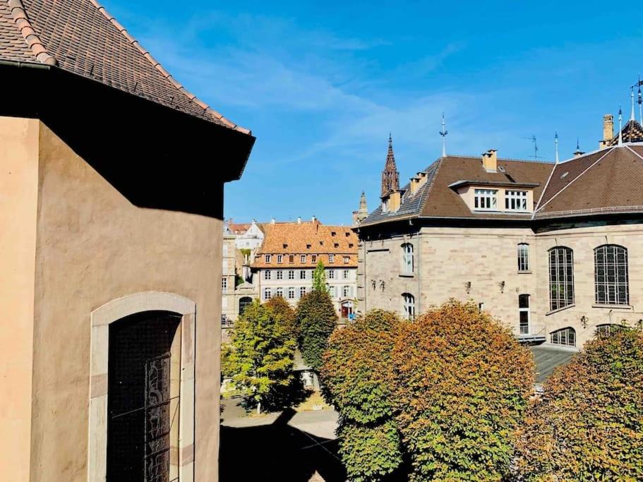 Splendide T3 proche Petite France Dragon - B&B