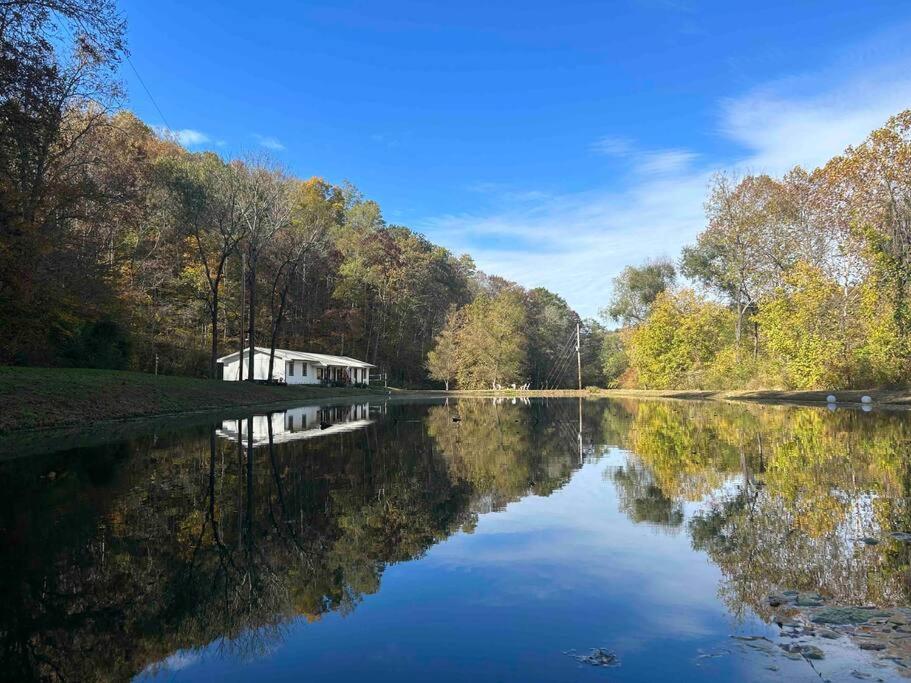 B&B Columbia - New Waterfront Cabin, 62 Acre, King Beds, Fire pit, Hiking - Bed and Breakfast Columbia