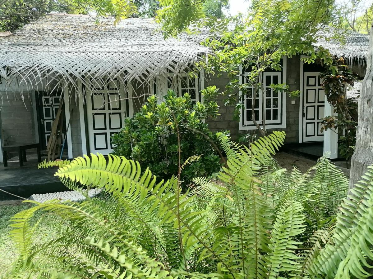 Werala Beach Resort - B&B