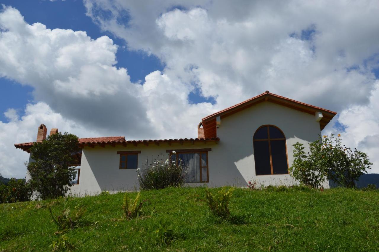 Hacienda la Aurora Finca agroturística - B&B