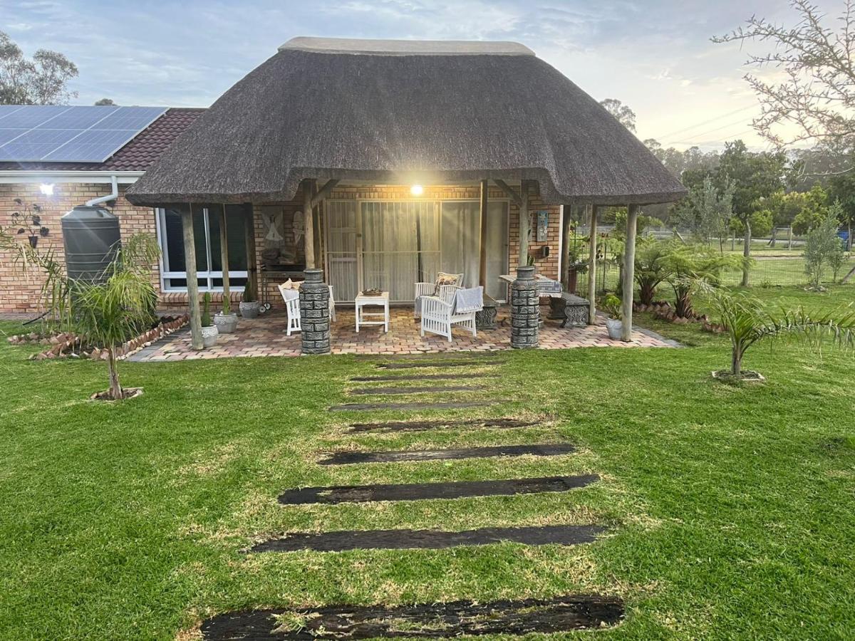 B&B Port Elizabeth - Yellow Wood Cottage - Bed and Breakfast Port Elizabeth