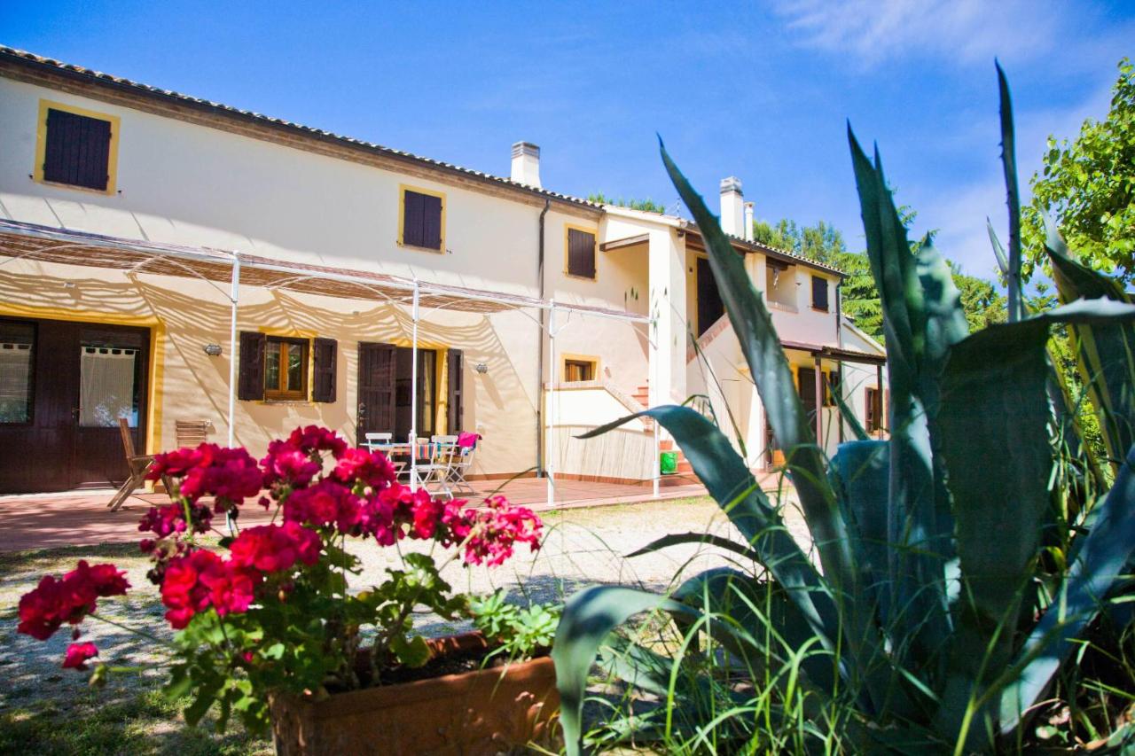 Il Casale Di Montefreddo - Ferienwohnung