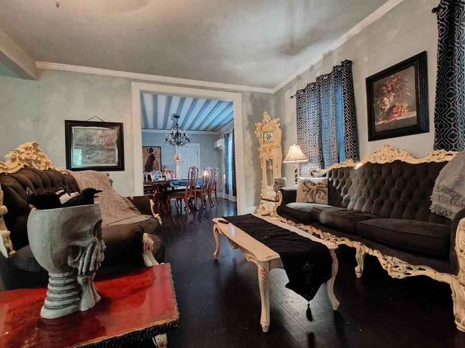 The vampire's den, downtown big house, pets ok - Ferienwohnung