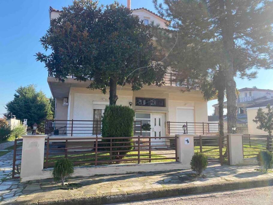 Family's home Trikala - Bed and Breakfast Trikala