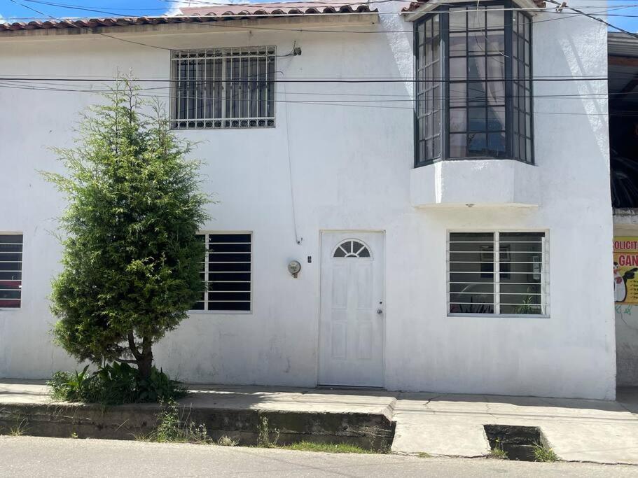 El Depa de Santa Cecilia - B&B