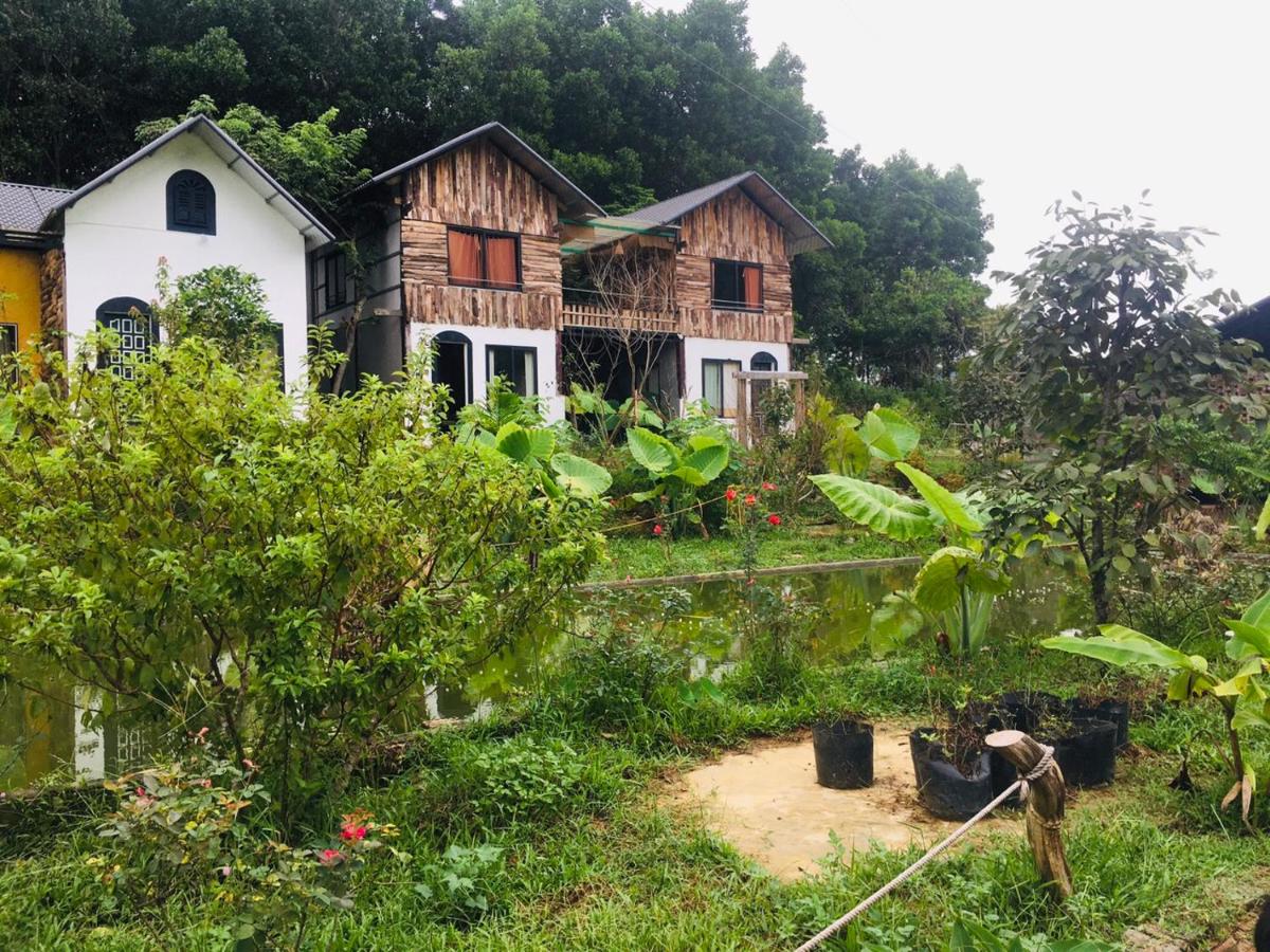 Stella Đồng Lâm Homestay - B&B