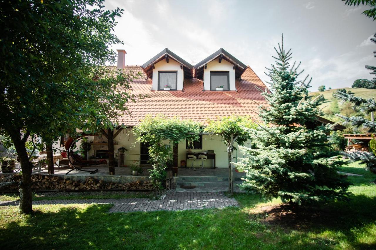Petershaus - casa de vacanța și distractie. - Ferienwohnung Petiş