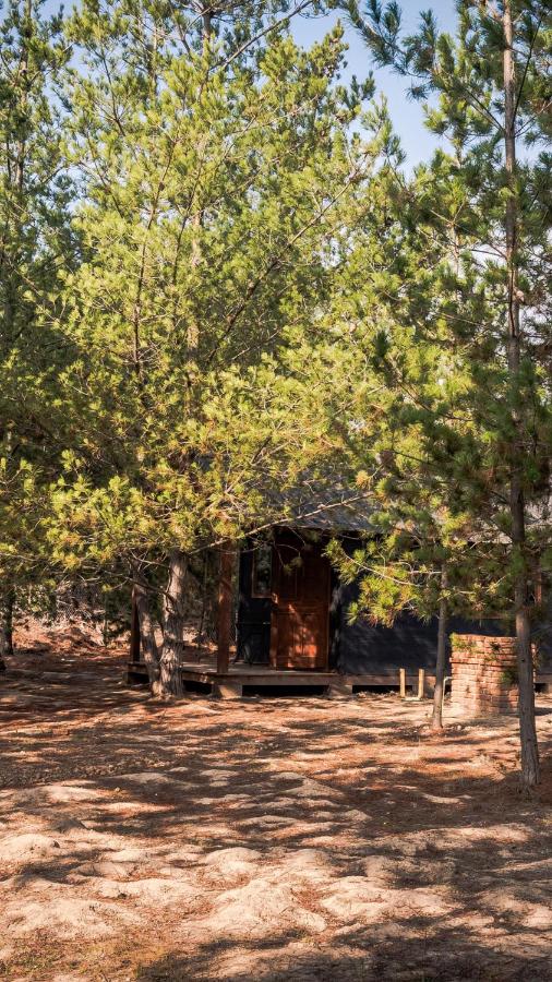 cabañas riveras rentals - B&B