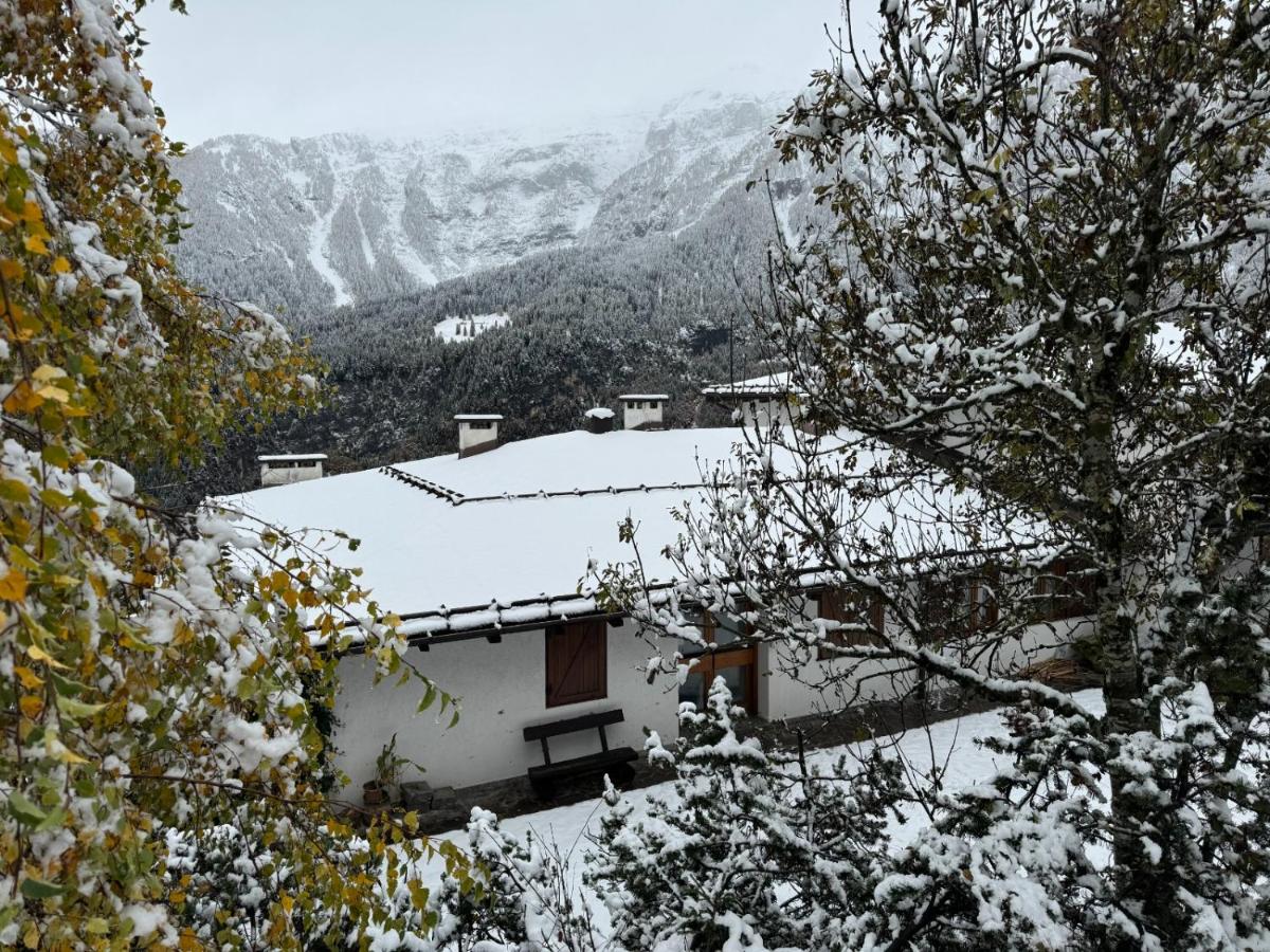 Appartamento Marelè - Folgarida sky area Campiglio - B&B