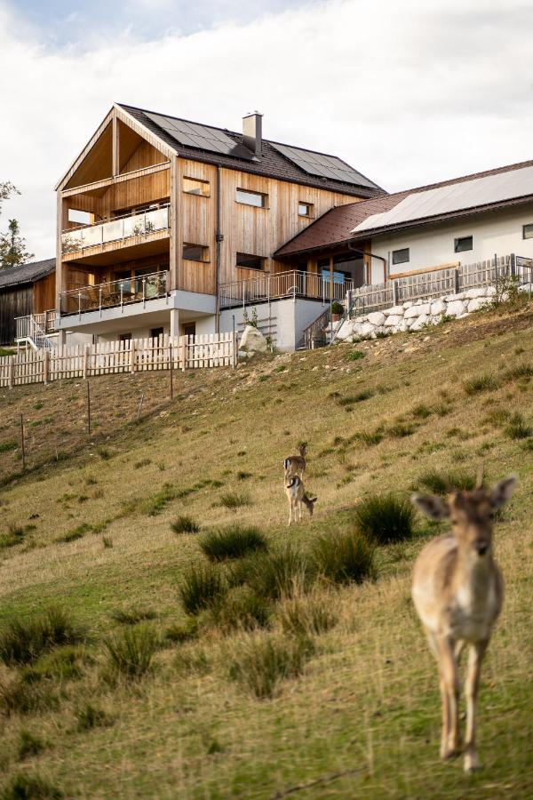 Holzhaus "Zum Schwarz'n" - B&B Aurach am Hongar