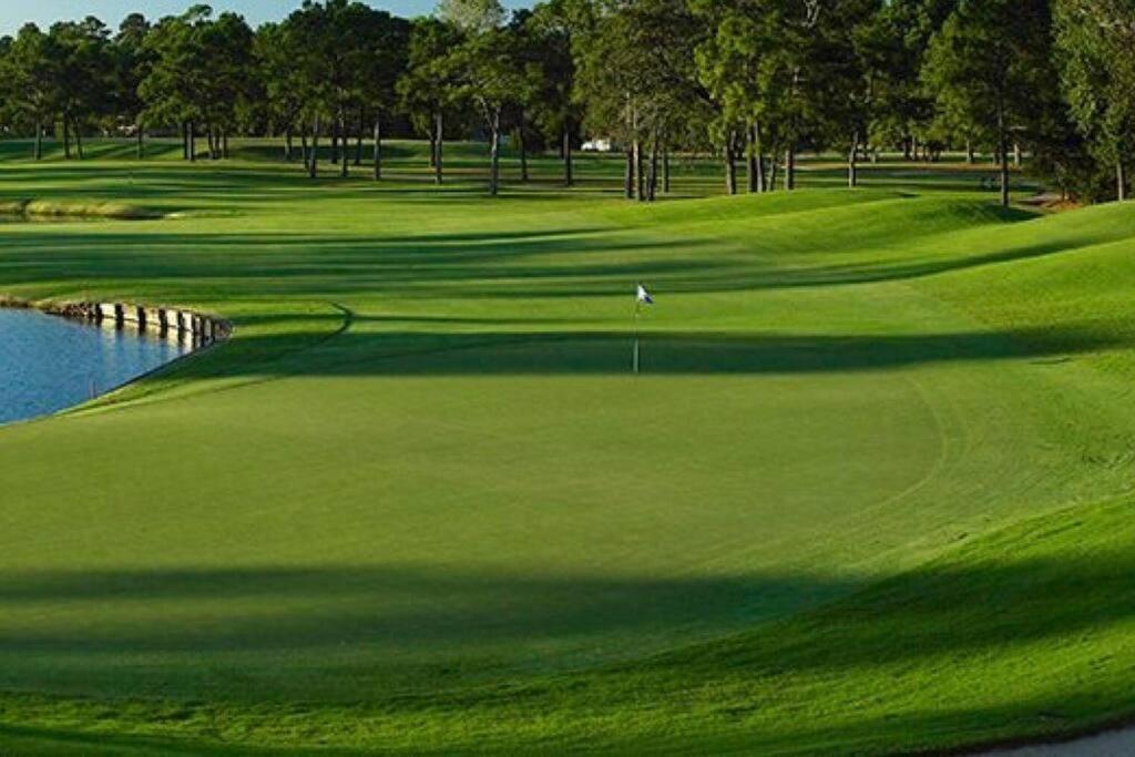 B&B The Woodlands - Timber Top golf course view - Bed and Breakfast The Woodlands