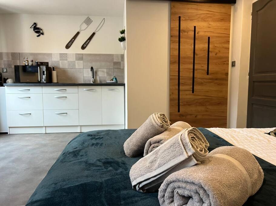 Studio Le petit pélican - B&B Châtenois