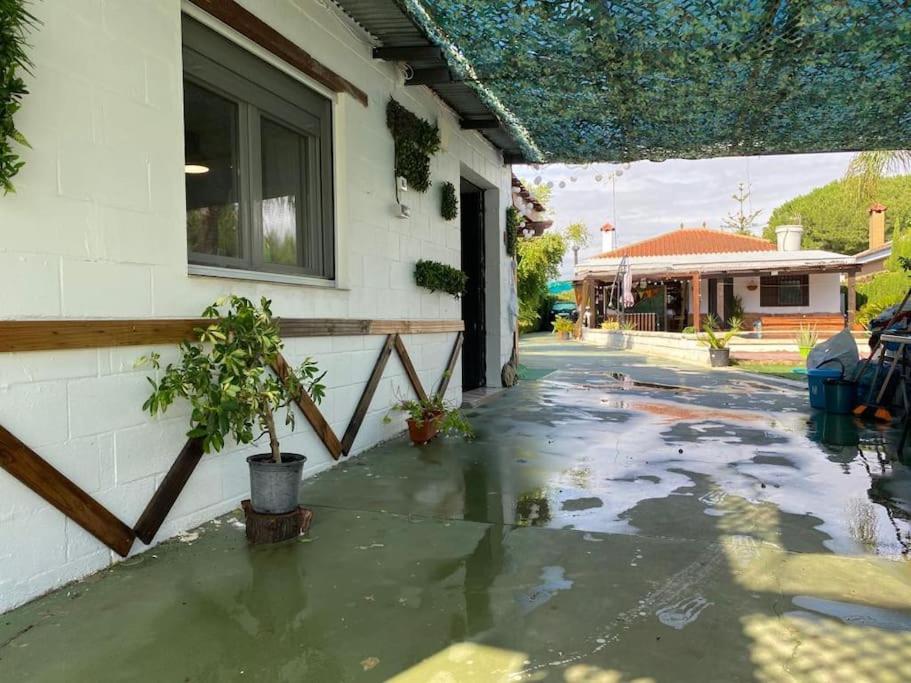 Guest house with shared pool. - B&B Coria del Río