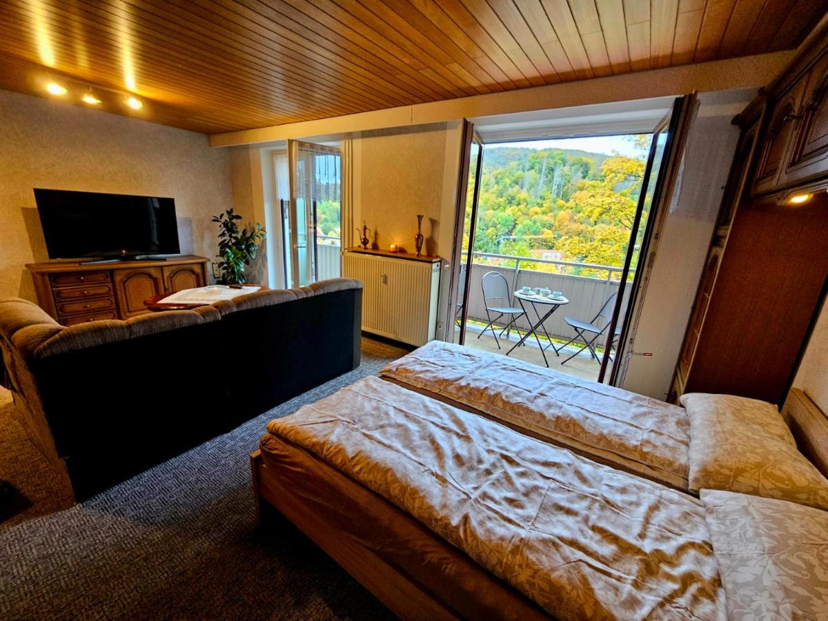 Gemütliche Ferienwohunung - Ferienwohnung Bad Grund