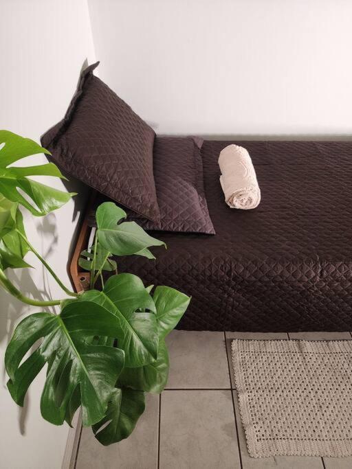 Apartamento de 2 dormitorios
