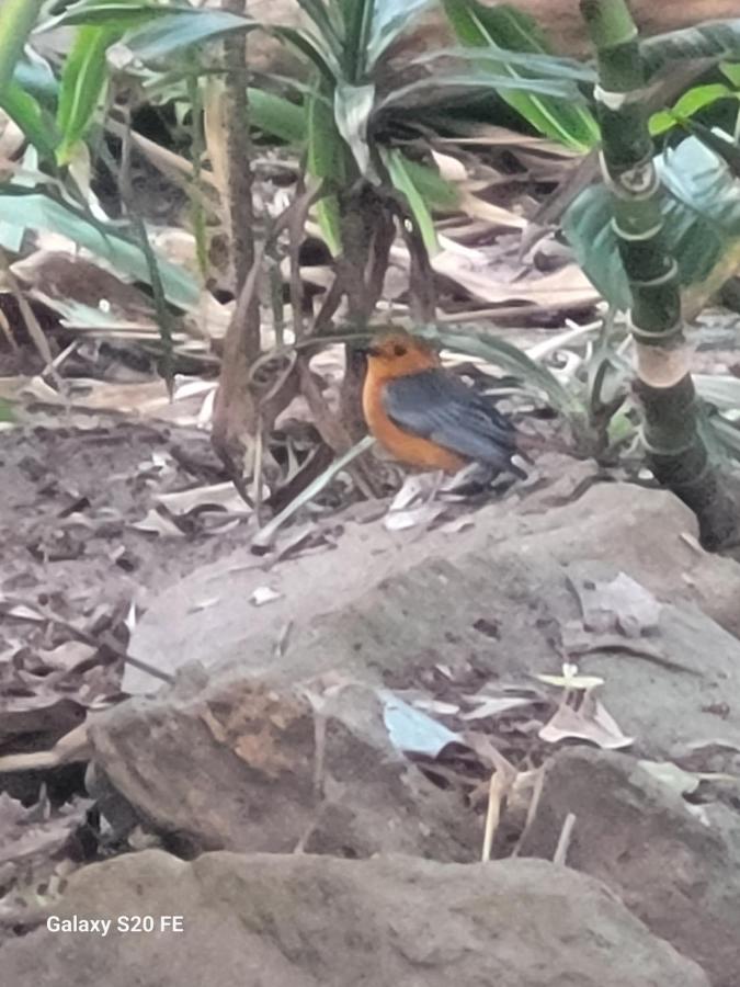 Clansthal beach get away - B&B Clausthal