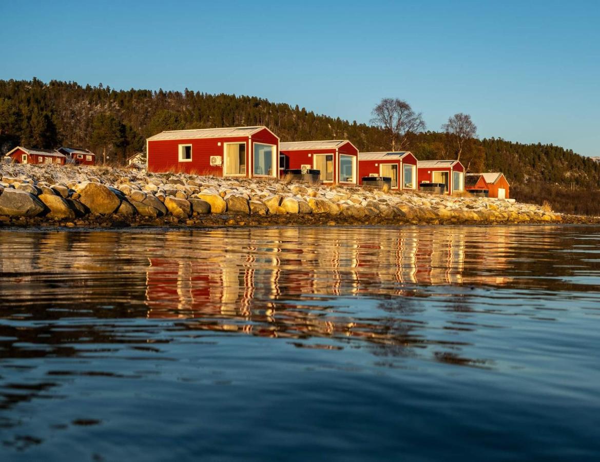 Norwegian Wild - B&B Brygghaugen