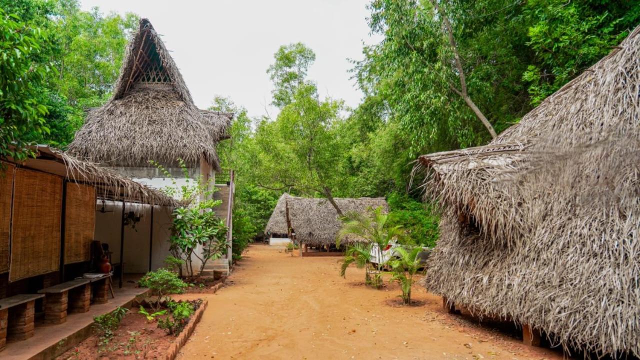 B&B Auroville - Nebula Nest Cafe & Hostel - Bed and Breakfast Auroville