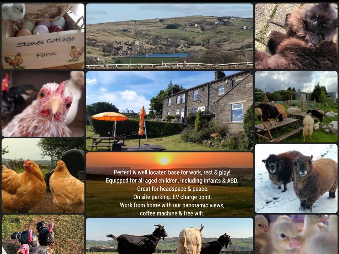 Stones Cottage Farm, nr Haworth, family friendly, work friendly, gaming barn, hot tub, free wifi, free parking, EV point - B&B Oxenhope